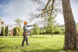 How Our Tree Care Process Works  in  Lake Clarke Shores, FL